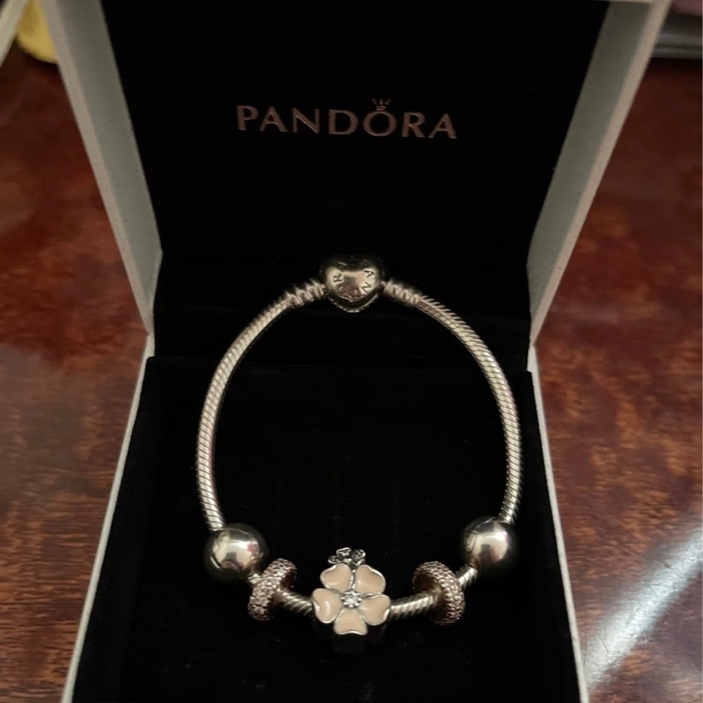 Pandora Pandora Moments Heart Clasp Snake Chain Bracelet